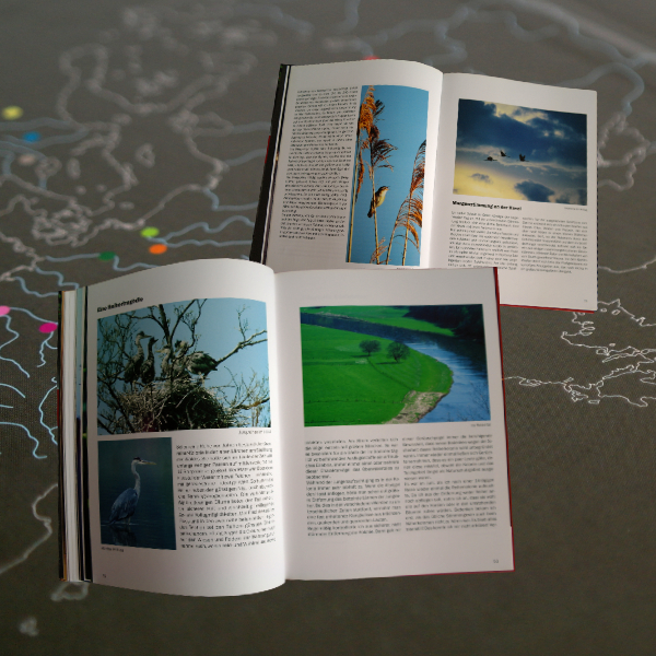 Layout der Innenseiten von "Spuren am Fluss"